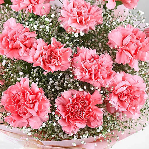 Blush Carnation Flower Bouquet