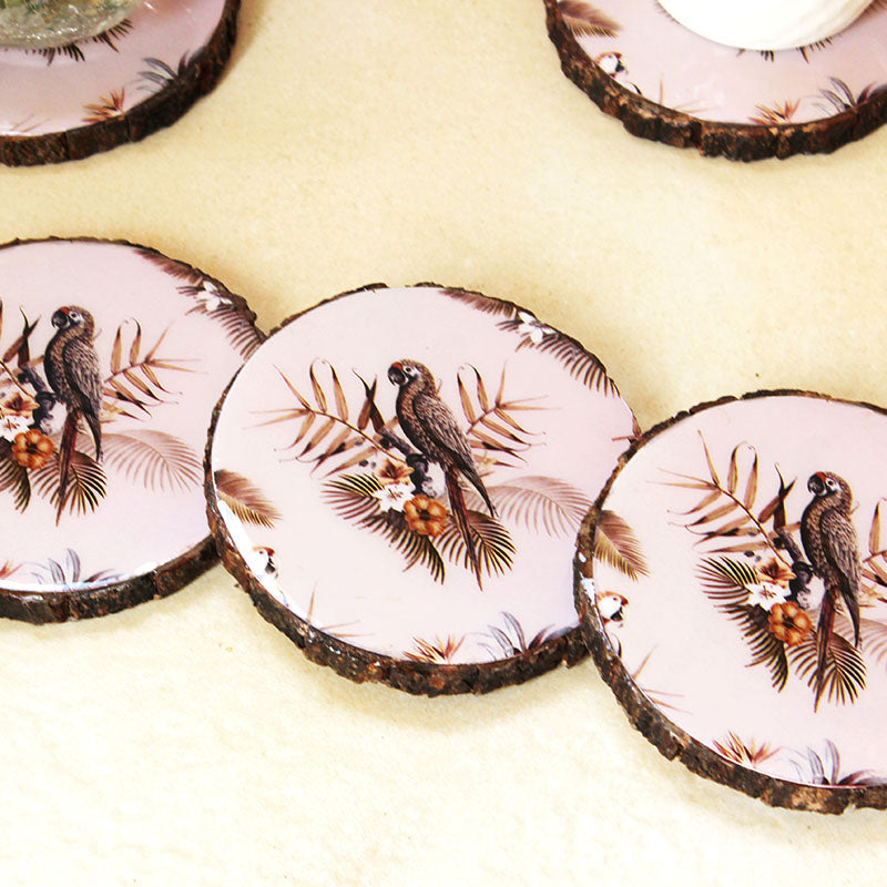 Mocha Macaw Set (Set of 4)